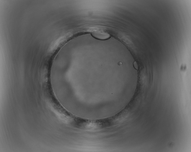 X0000111150303200906301343