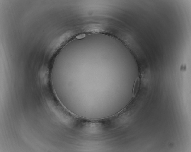 X0000111150304200906301343