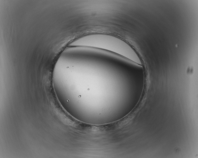 X0000111150305200906301343