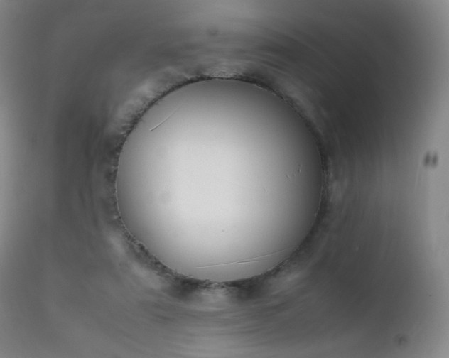 X0000111150307200906301343