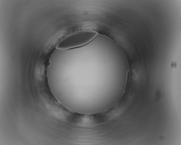 X0000111150308200906301343