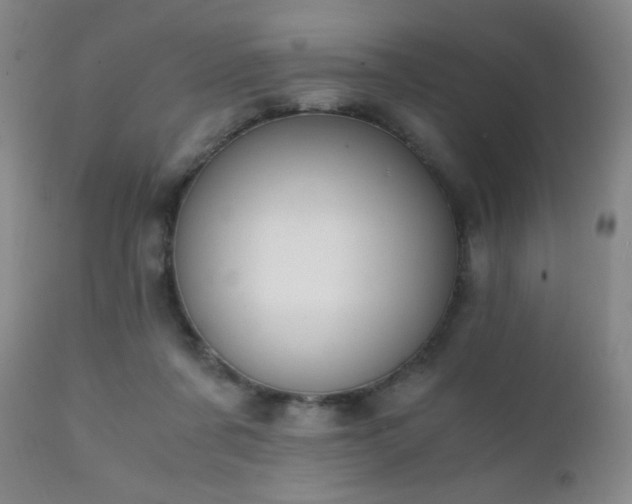 X0000111150311200906301343