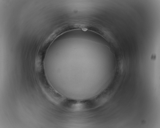 X0000111150312200906301343