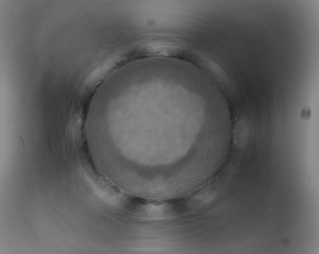 X0000111150314200906301343