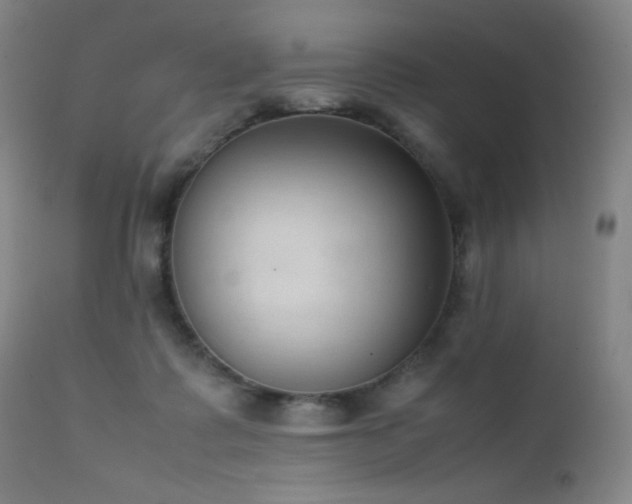 X0000111150315200906301343