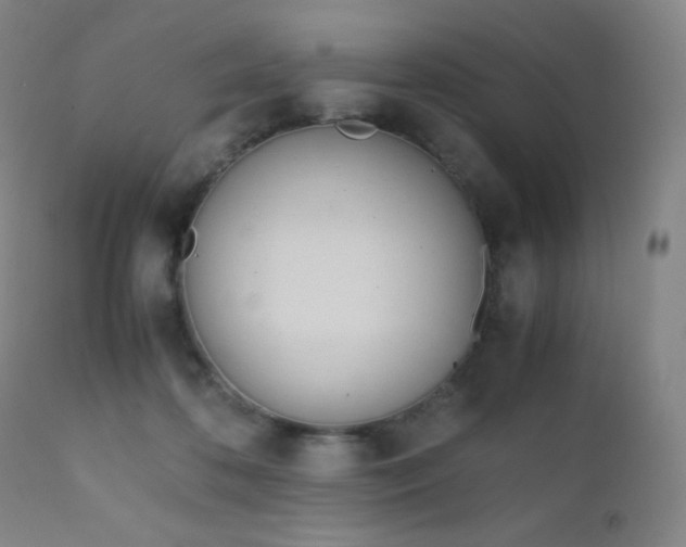 X0000111150316200906301343