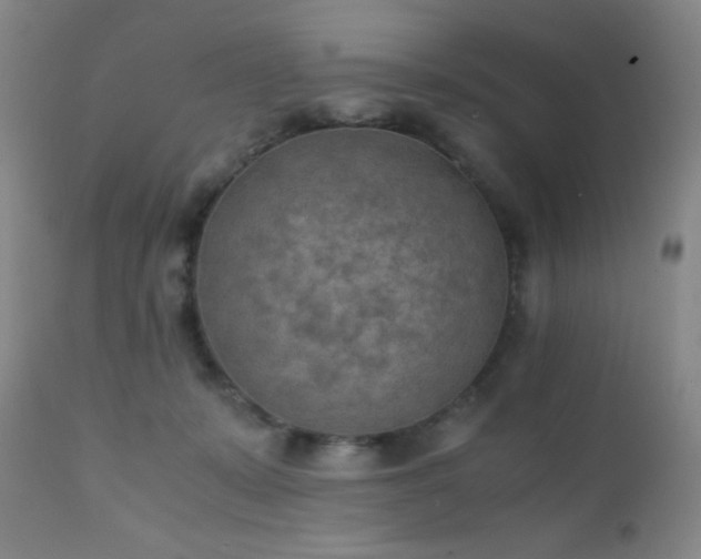 X0000111150319200906301343