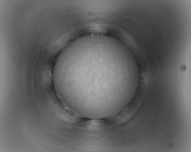 X0000111150320200906301343