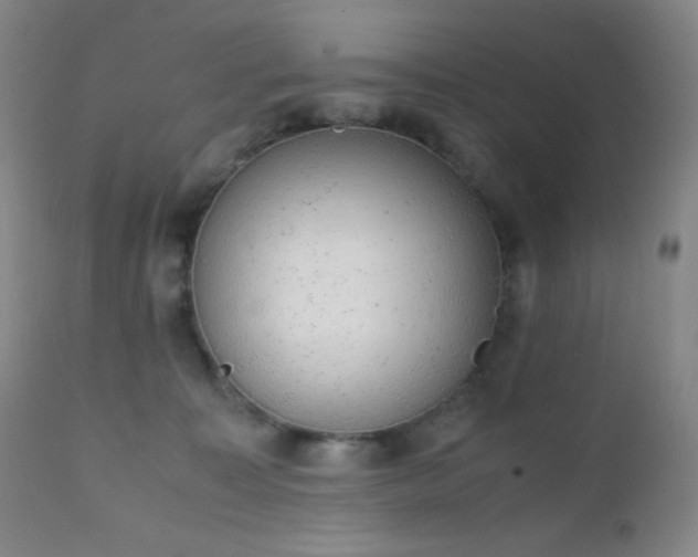 X0000111150323200906301343