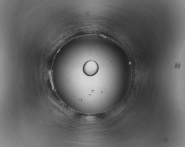 X0000111150324200906301343