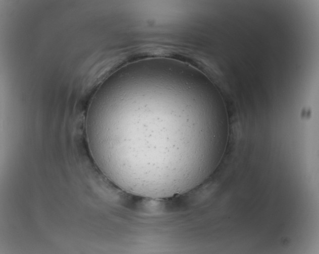 X0000111150325200906301343