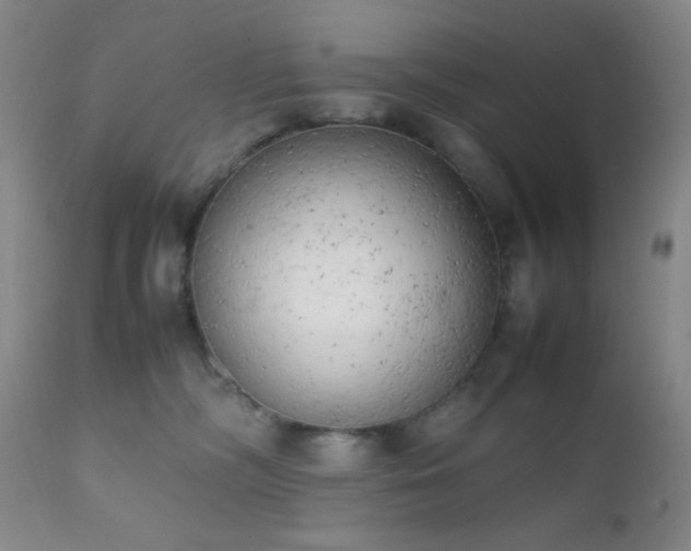 X0000111150326200906301343