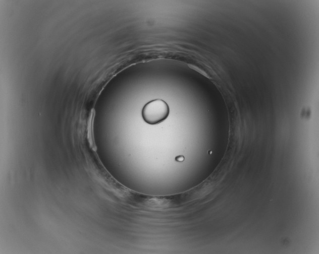 X0000111150328200906301343