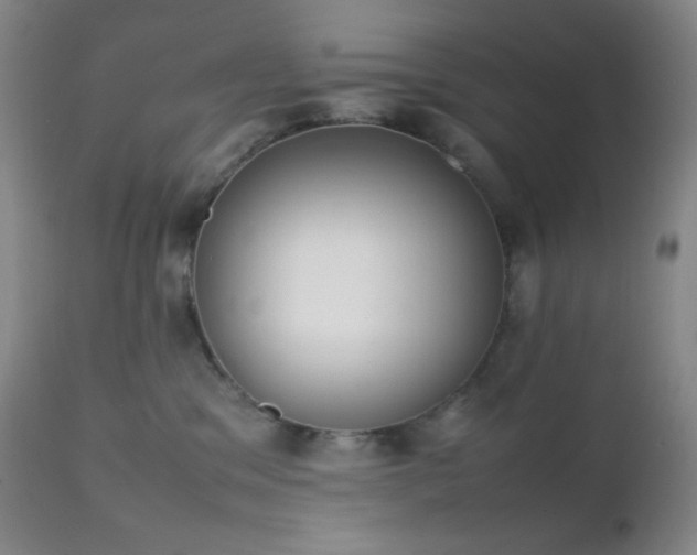 X0000111150329200906301343
