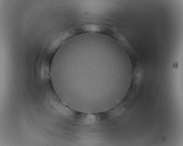 X0000111150330200906301343