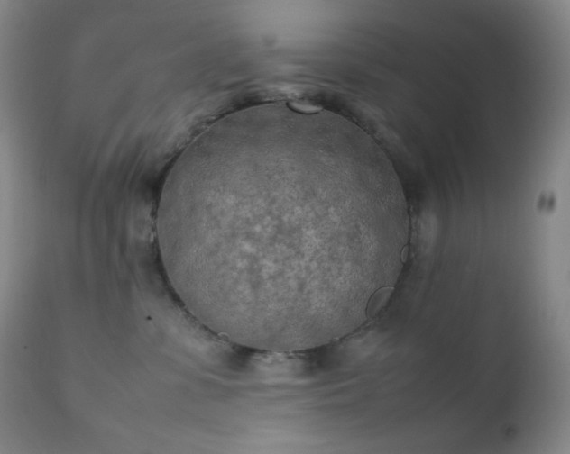 X0000111150331200906301343