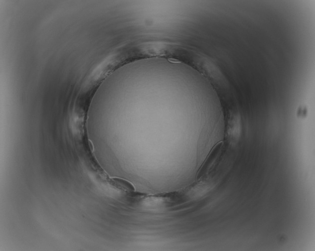 X0000111150332200906301343