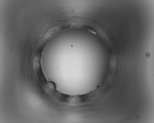 X0000111150333200906301343