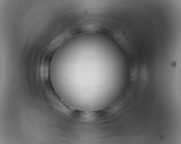 X0000111150334200906301343
