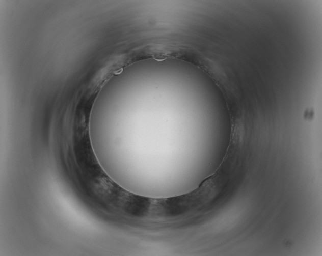 X0000111150335200906301343