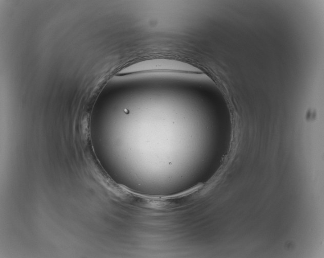 X0000111150336200906301343