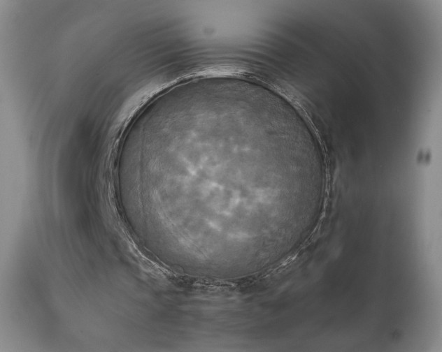 X0000111150337200906301342