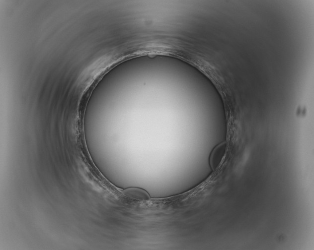 X0000111150338200906301342