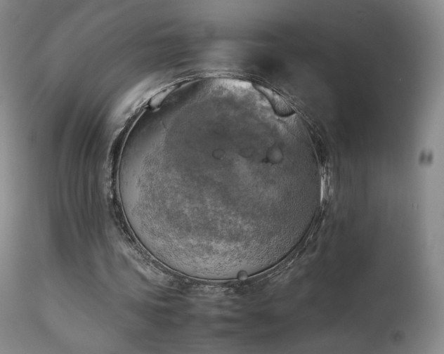 X0000111150339200906301342