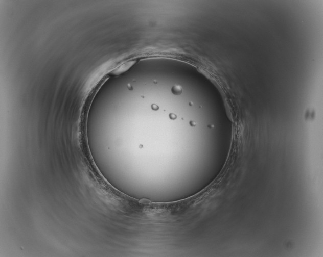 X0000111150340200906301342