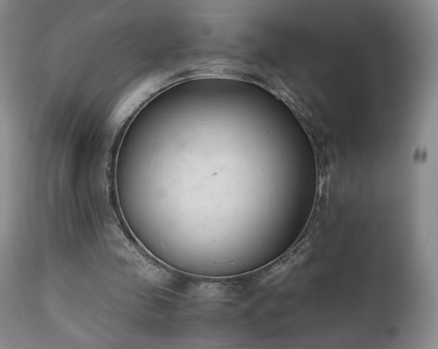 X0000111150341200906301342