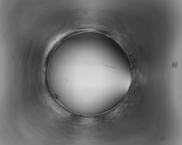 X0000111150342200906301342