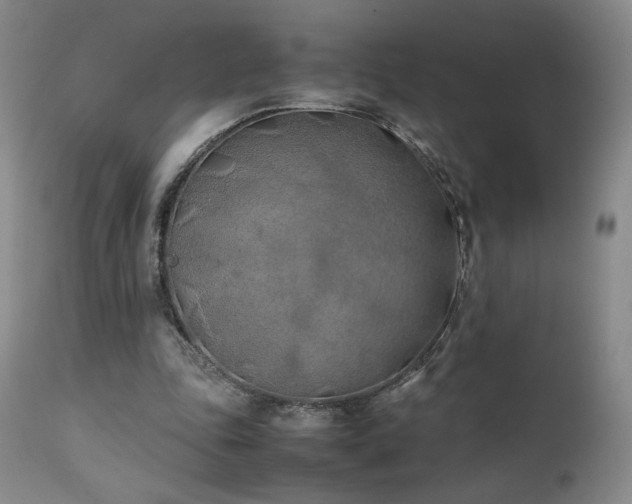 X0000111150343200906301342