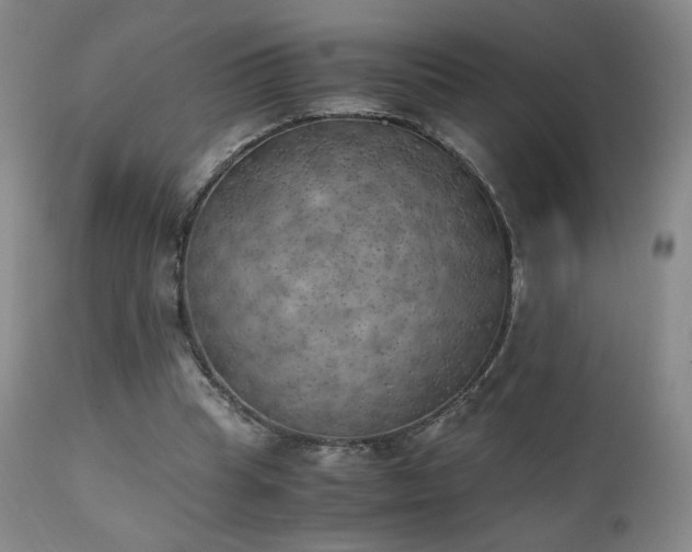 X0000111150345200906301342