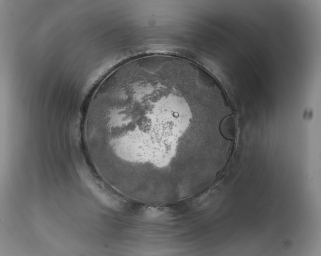 X0000111150346200906301342