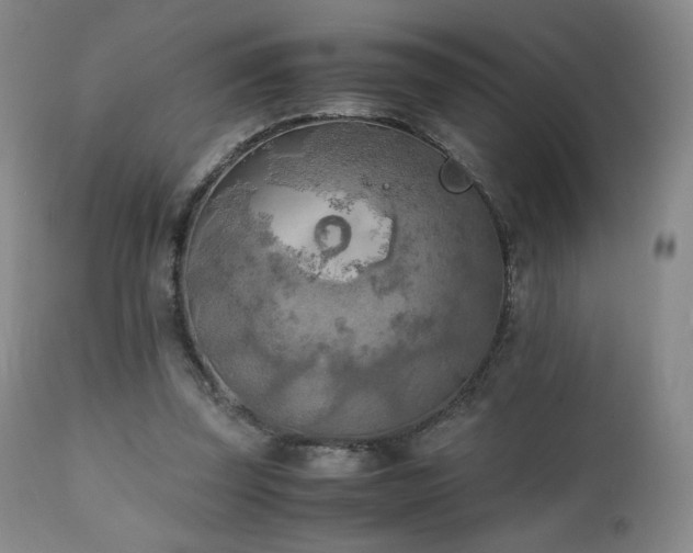 X0000111150347200906301342