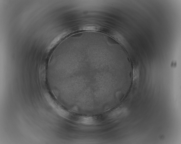 X0000111150349200906301342
