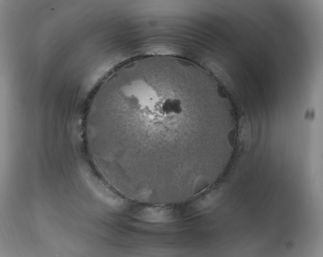 X0000111150351200906301342