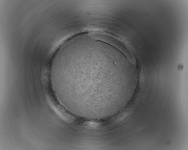 X0000111150352200906301342