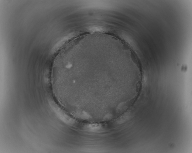 X0000111150353200906301342