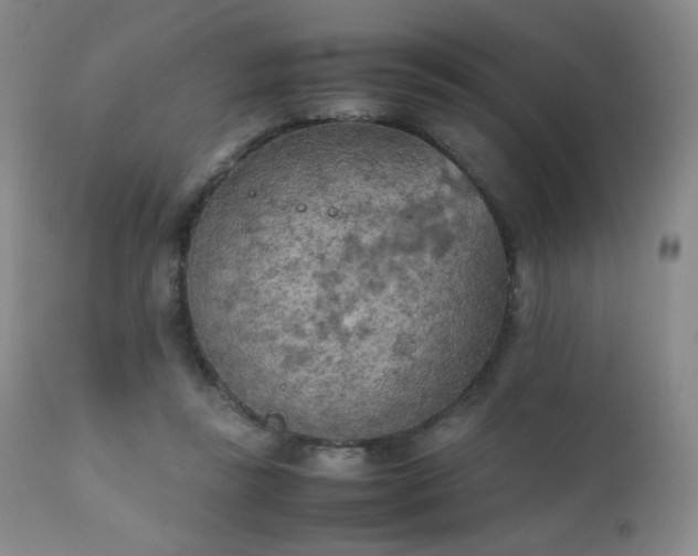 X0000111150355200906301342
