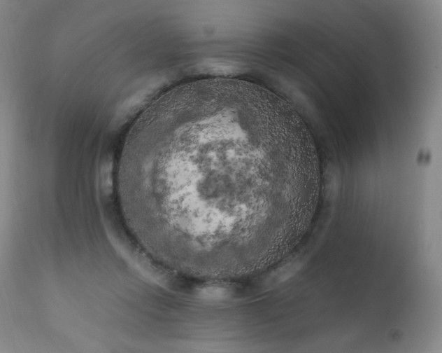 X0000111150358200906301342
