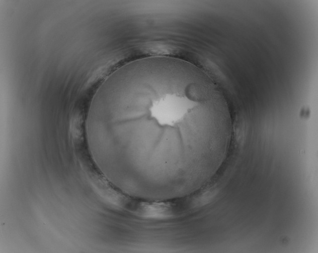 X0000111150359200906301342