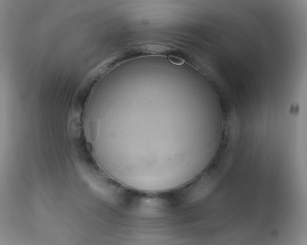 X0000111150360200906301342
