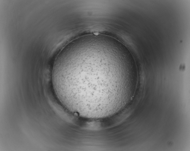 X0000111150362200906301342