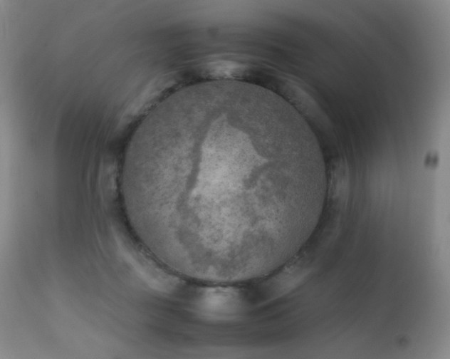 X0000111150363200906301342
