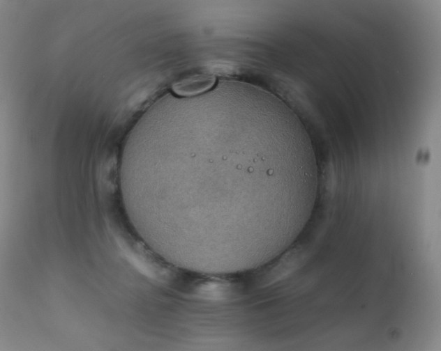 X0000111150364200906301342