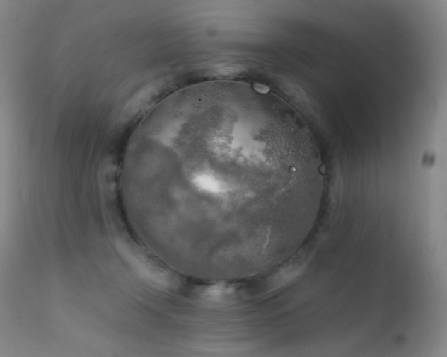 X0000111150366200906301343