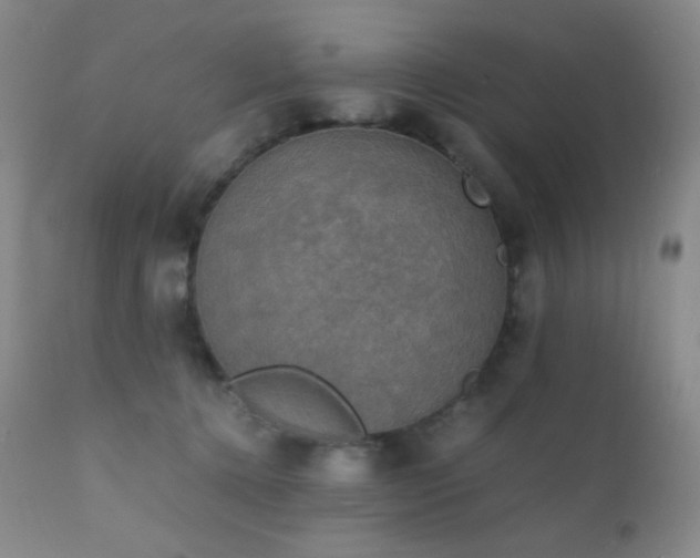 X0000111150368200906301343