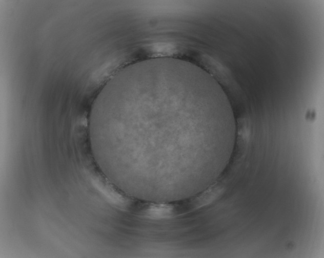 X0000111150369200906301343