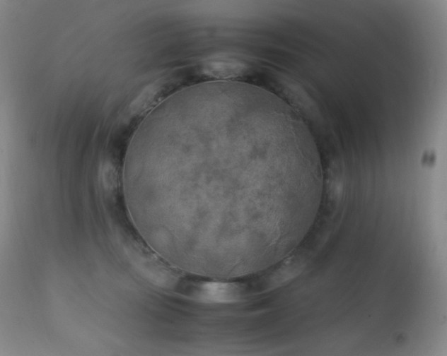 X0000111150371200906301343